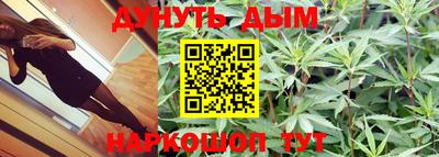 крисы Ипатово