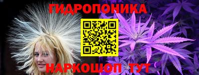 крисы Ипатово