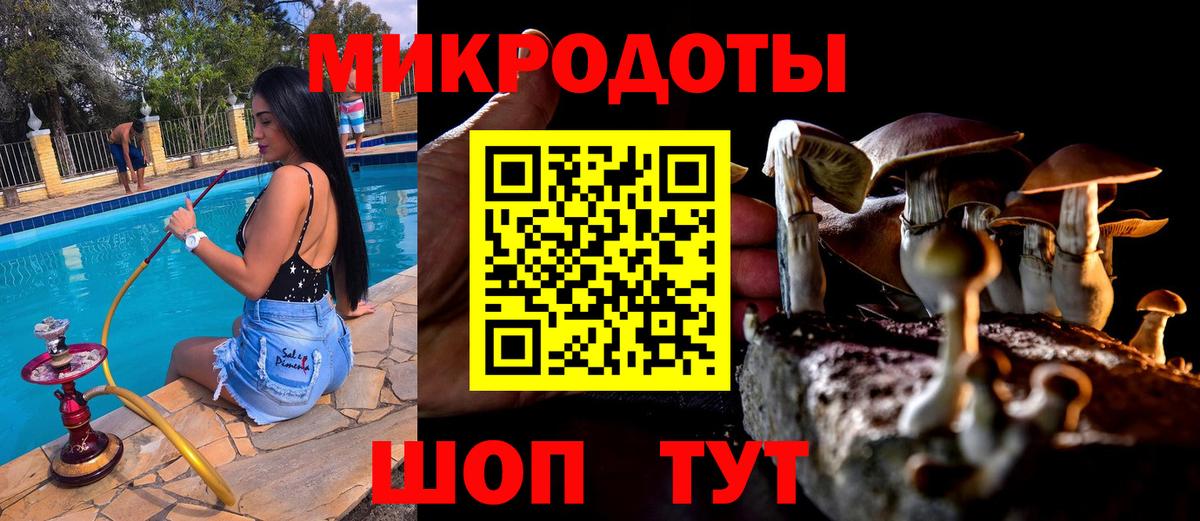Галлюциногенные грибы Magic Shrooms  Вход с VPN  Псилоцибиновые грибы Psilocybine cubensis  Котлас 
