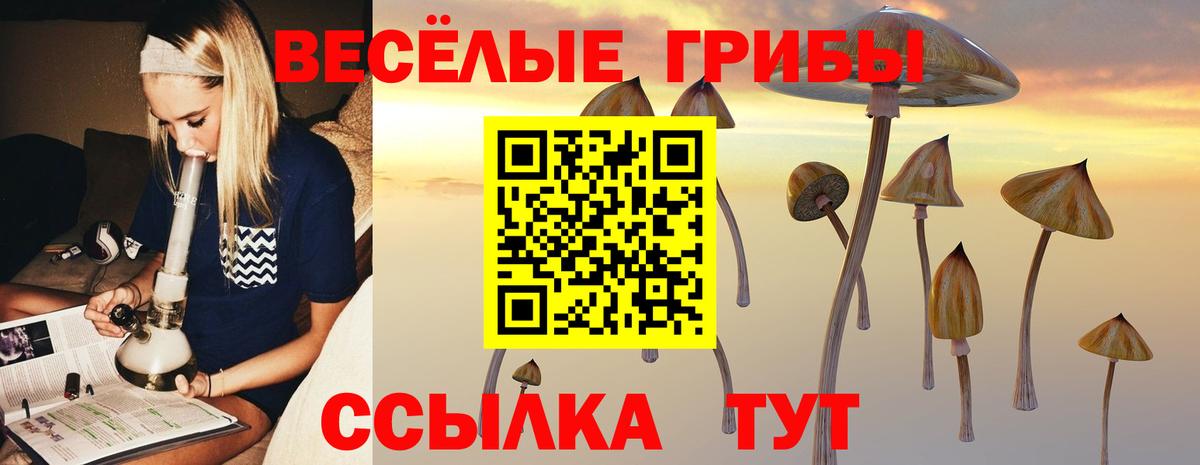 Галлюциногенные грибы мицелий Котлас
